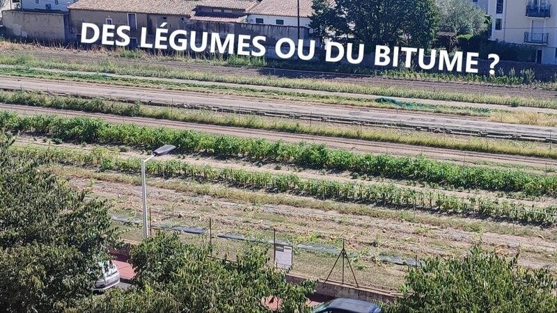 Illustration pétition Cité bergère